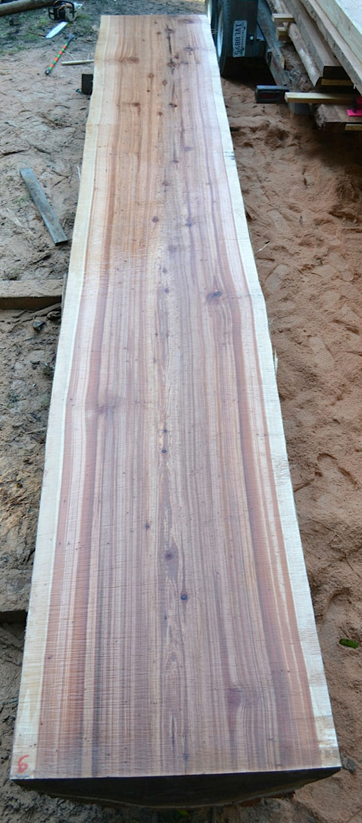 Redwood Slab #6